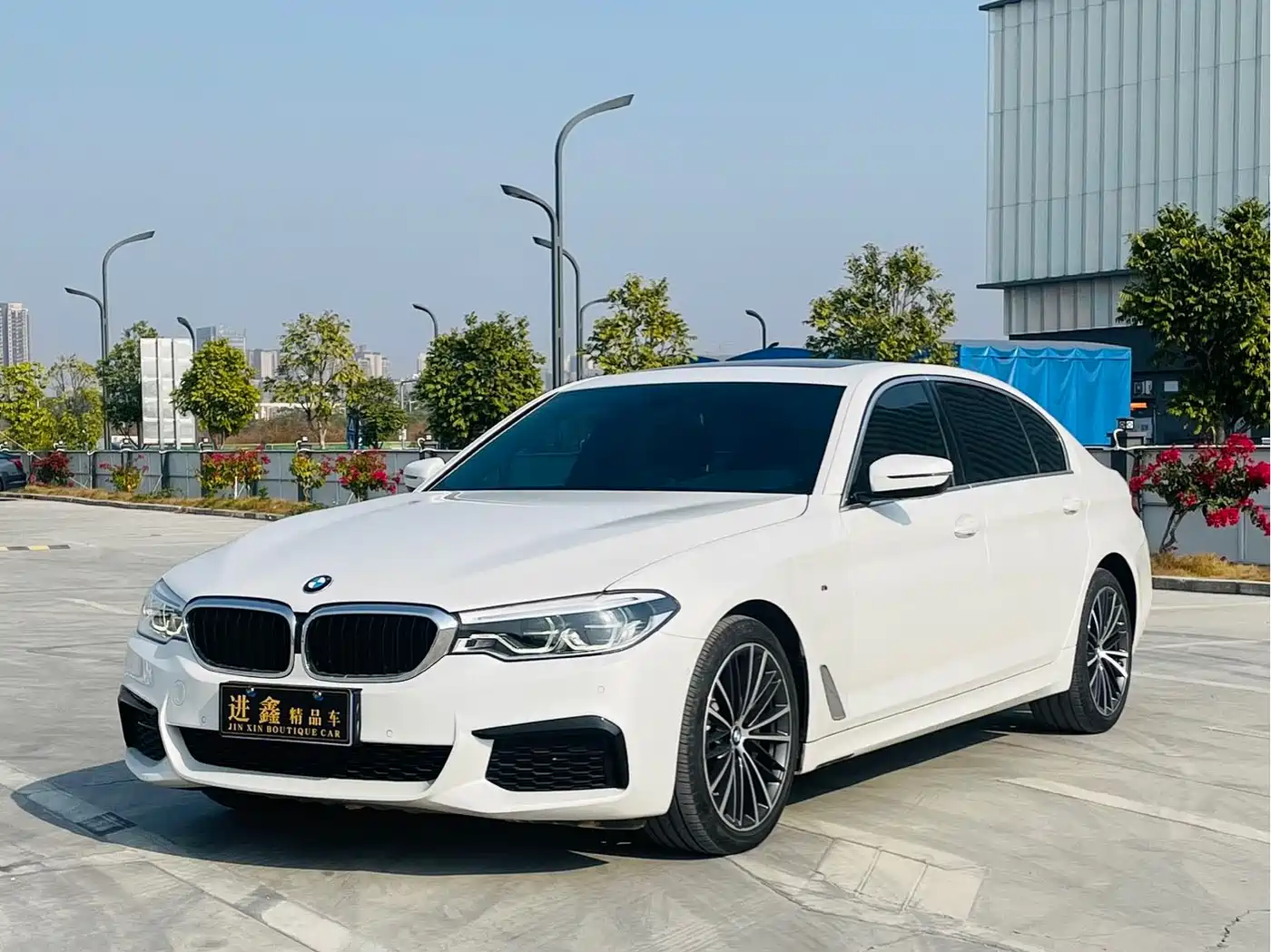 BMW 5 Series 2020 530Li Leading M Sport Package
