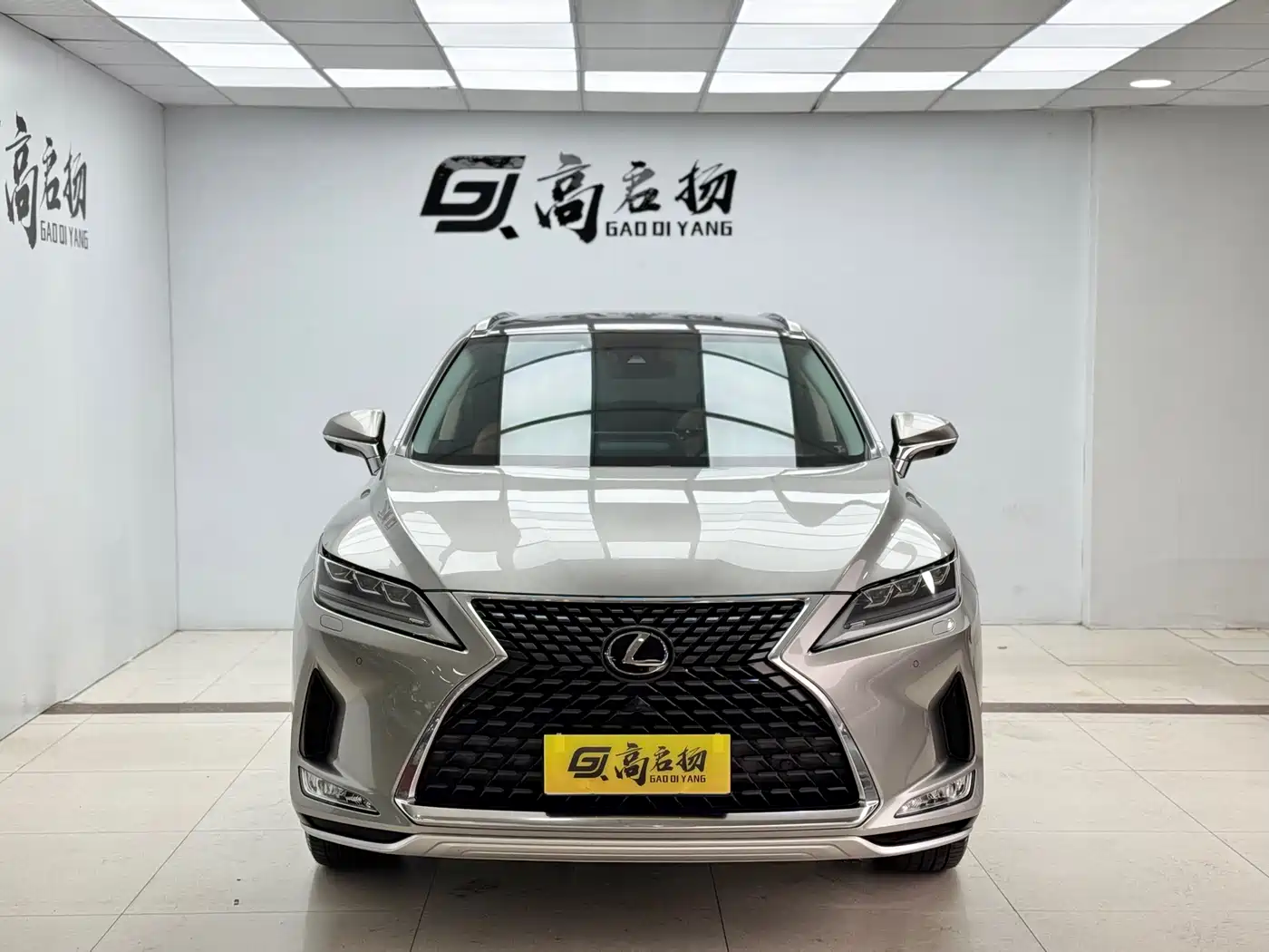 Lexus RX 2020 300 4WD Elegance Edition China VI фото 2