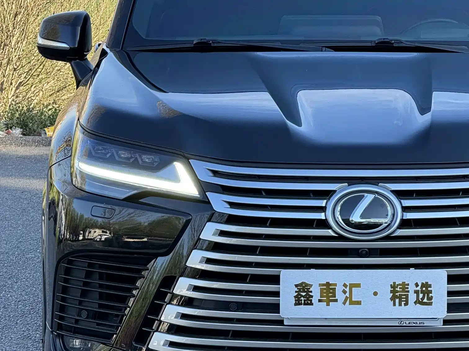 Фото 6 - Lexus LX