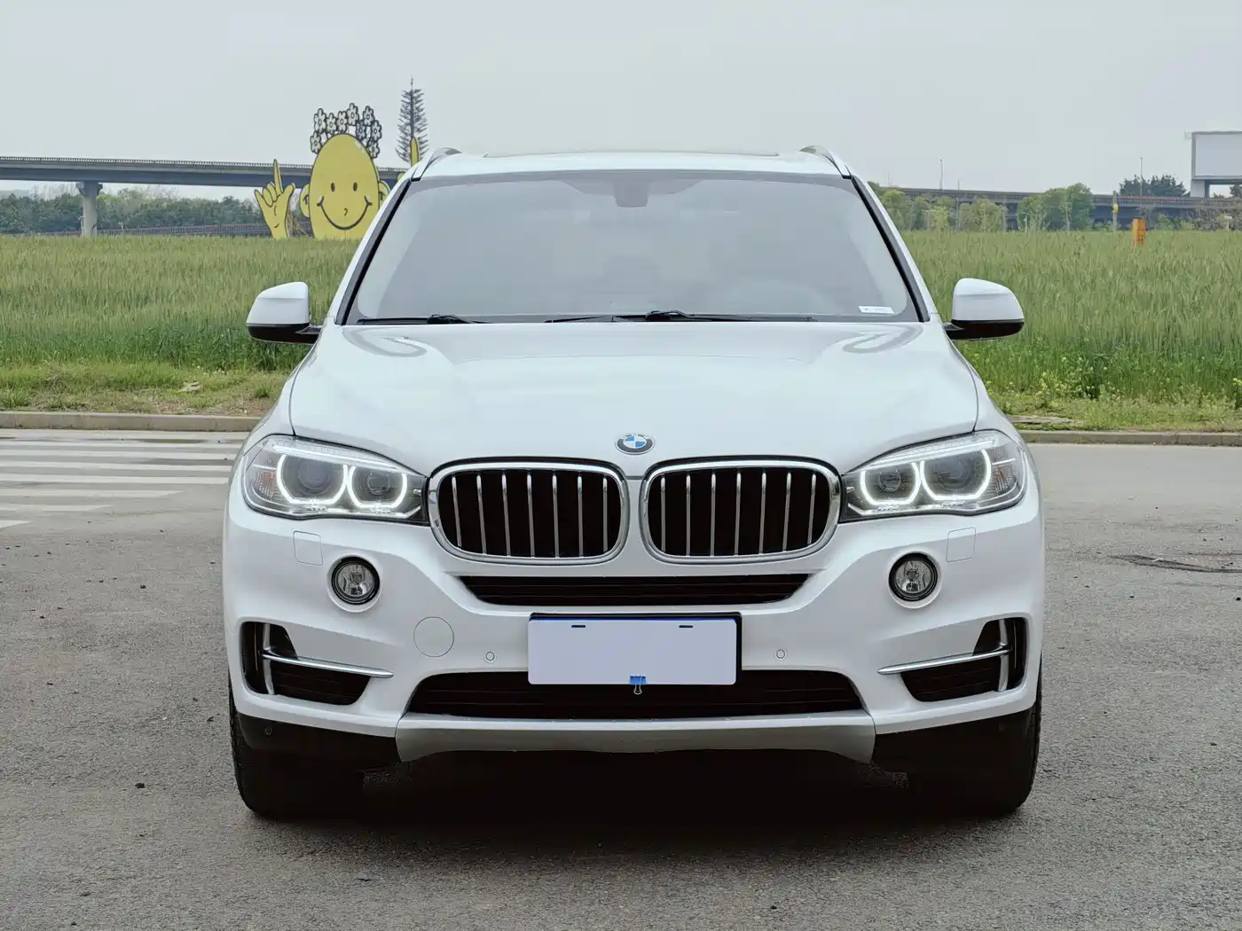 BMW X5 (Import) 2017 xDrive28i фото 2