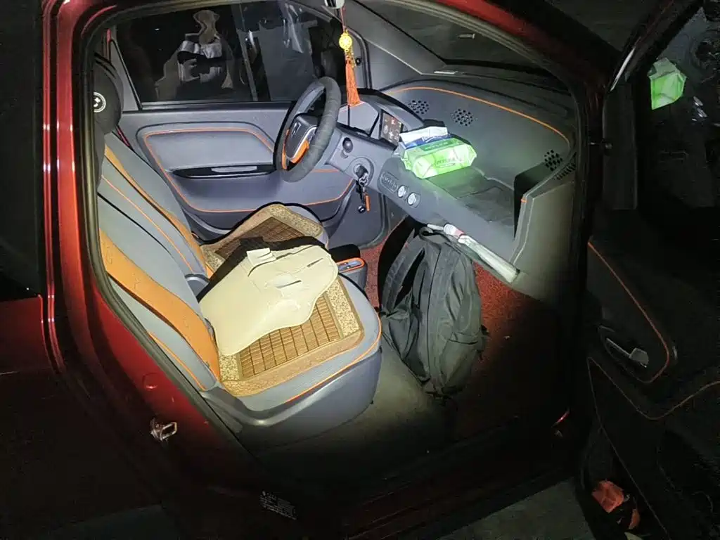 Baojun E100 2021 2020 305KM Intelligent Edition