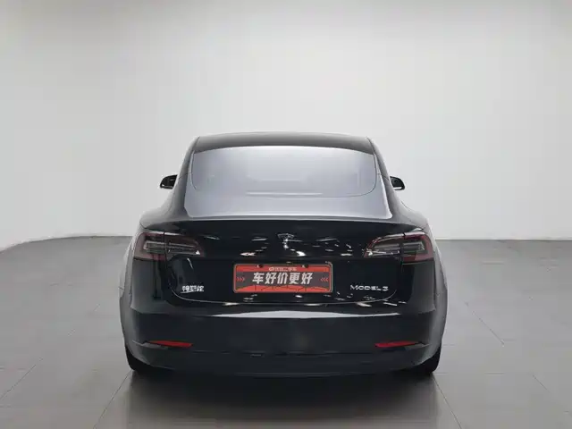 Tesla Model 3 2020 Standard Range Rear-Wheel Drive Upgrade — фото 4