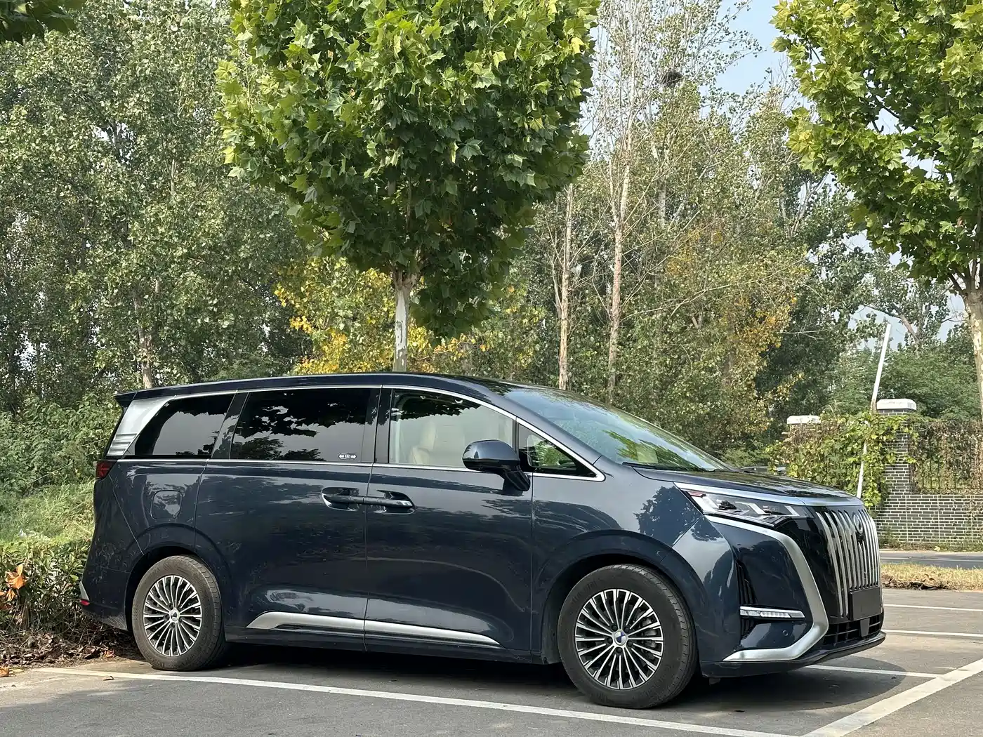 Denza D9 2023 2022 EV 600 4WD Prestige Model