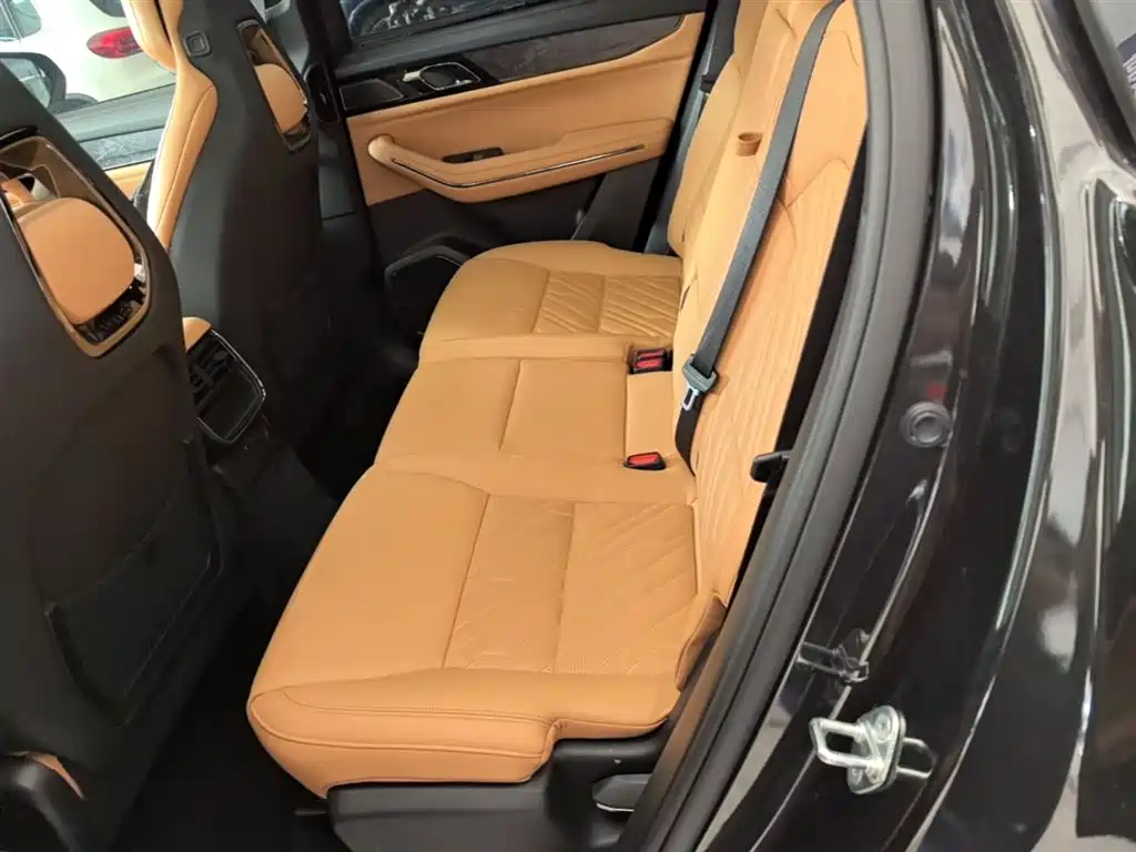 Lynk & Co 09 EM-P 2021 2.0T PHEV Halo 7-Seater фото 17