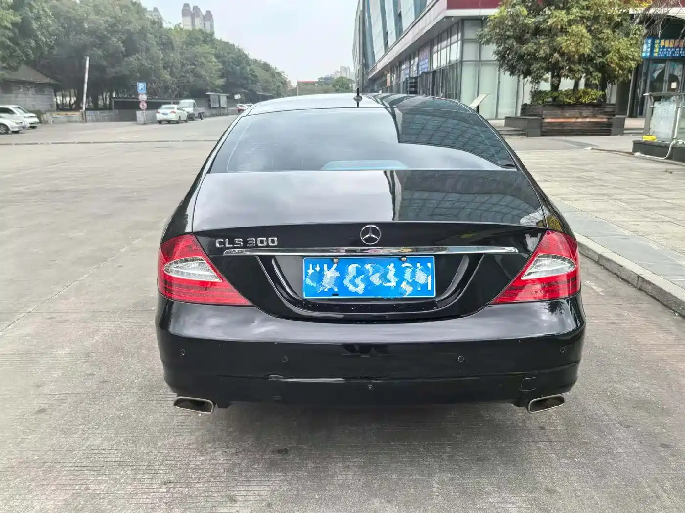 Mercedes-Benz CLS 2009 CLS 300 фото 6