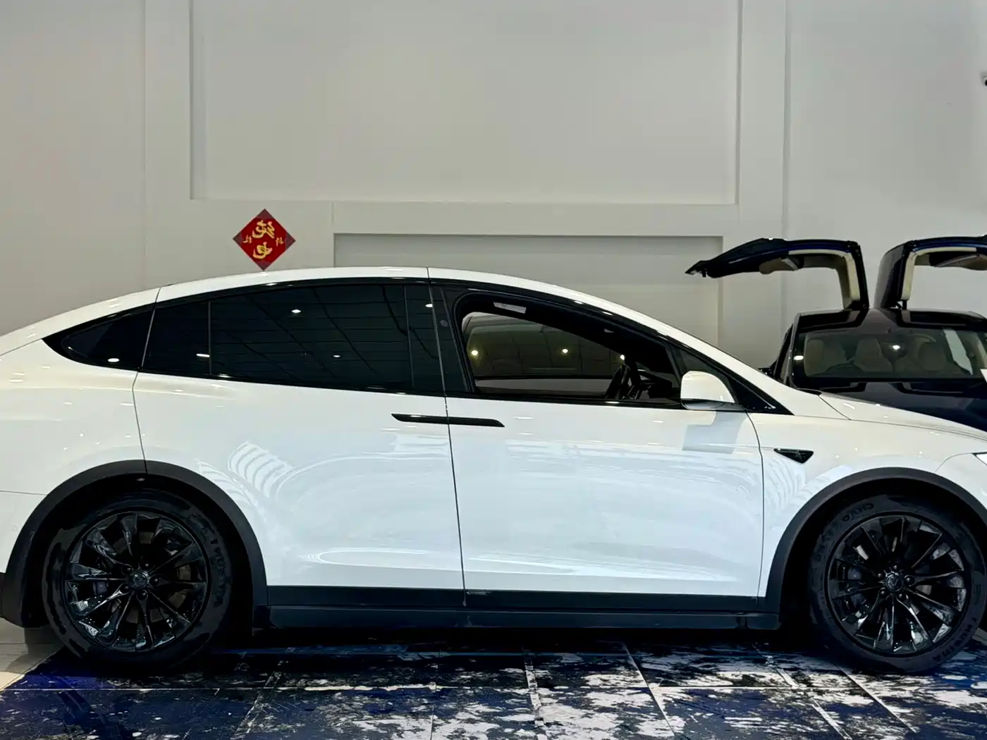 TESLA MODEL X