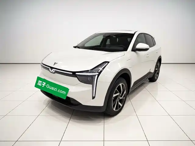 Neta U Pro 400, Круиз