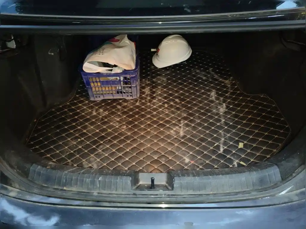 صورة 10 - Volkswagen Sagitar