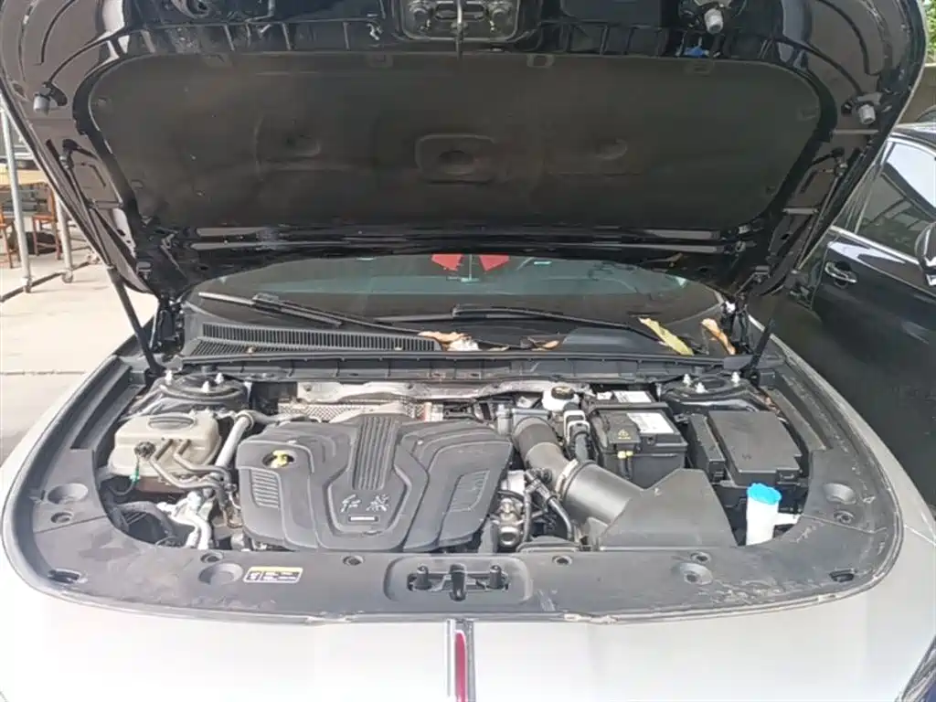 Hongqi H5 2024 2.0T Automatic Smart Connect Flag Smooth Edition фото 13