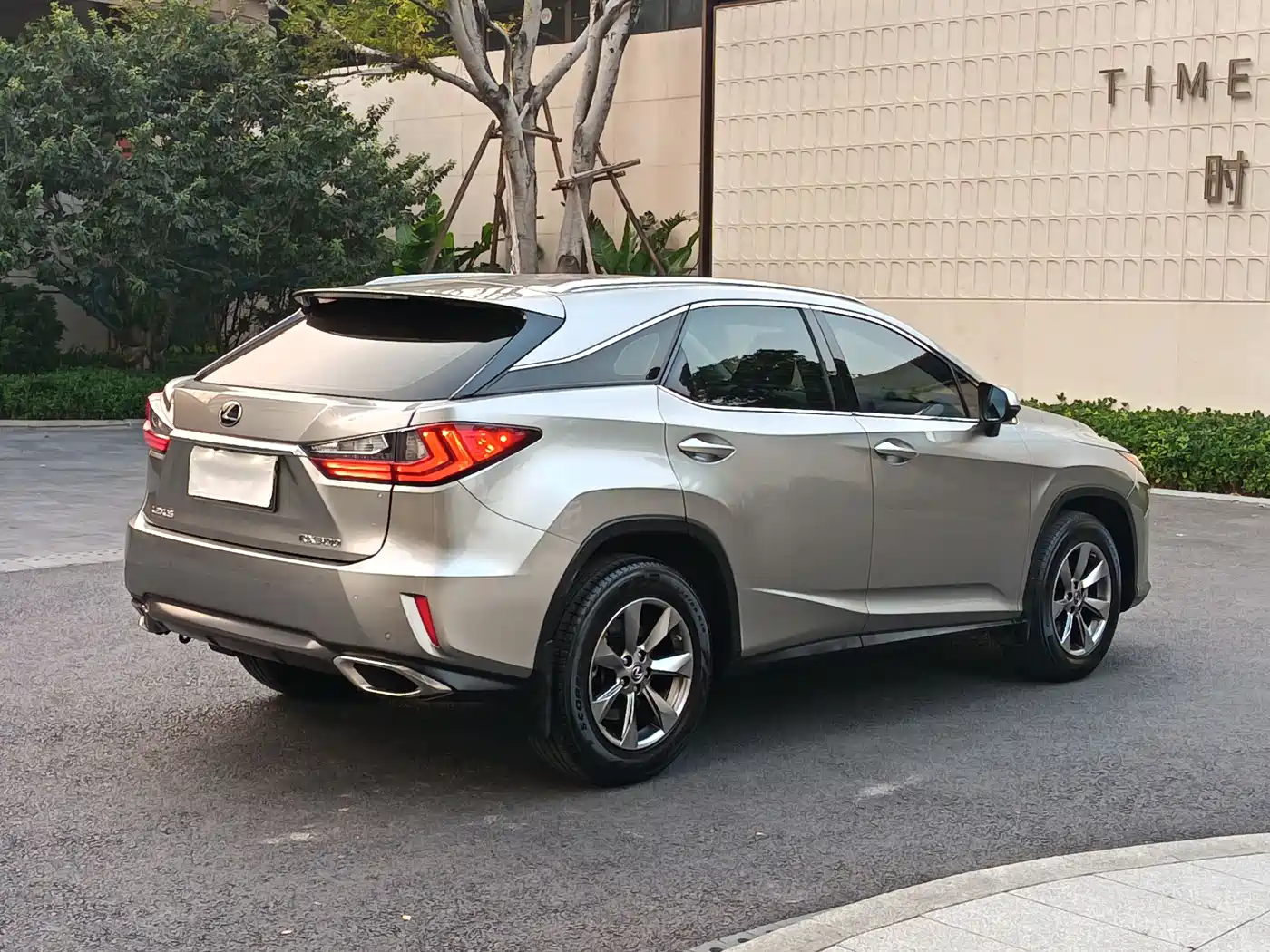 Lexus RX 2016 300 2WD Comfort Edition China VI фото 4
