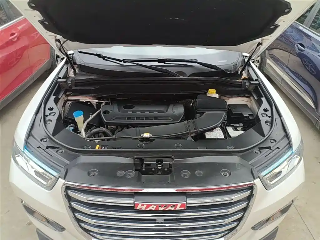 Haval H6 2019 Red Label 2.0GDIT Automatic Champion Edition фото 20
