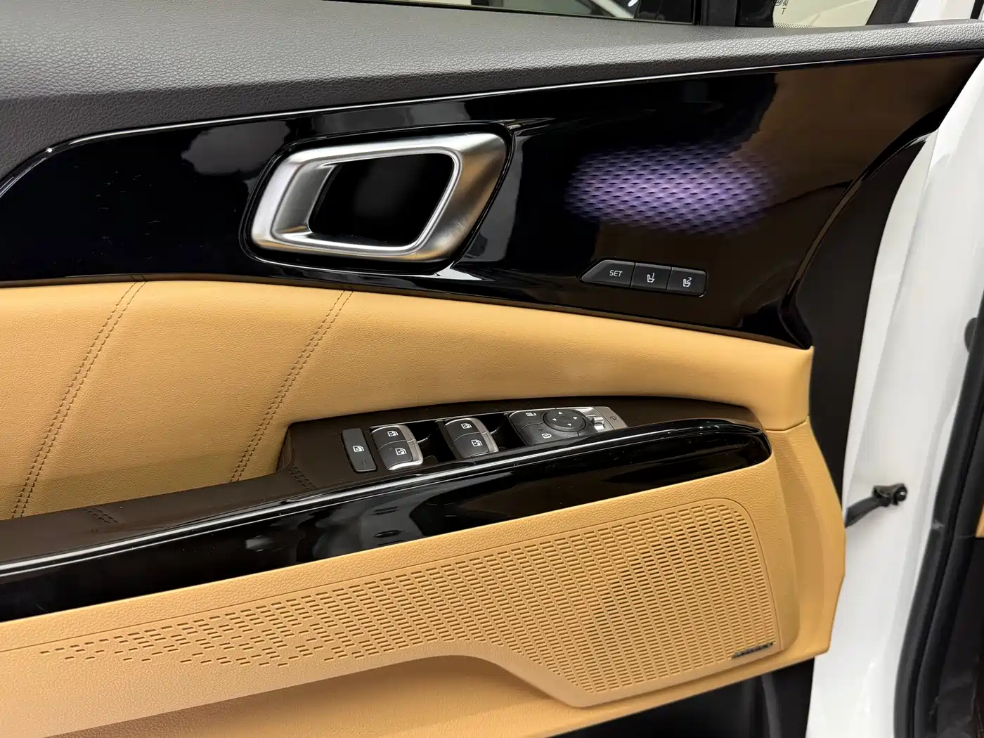 Kia Carnival 2021 2.0T Flagship Edition фото 10