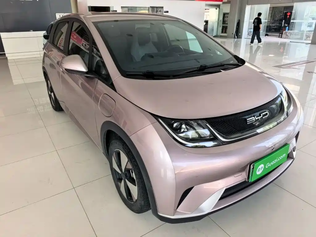Фото 4 - BYD Dolphin
