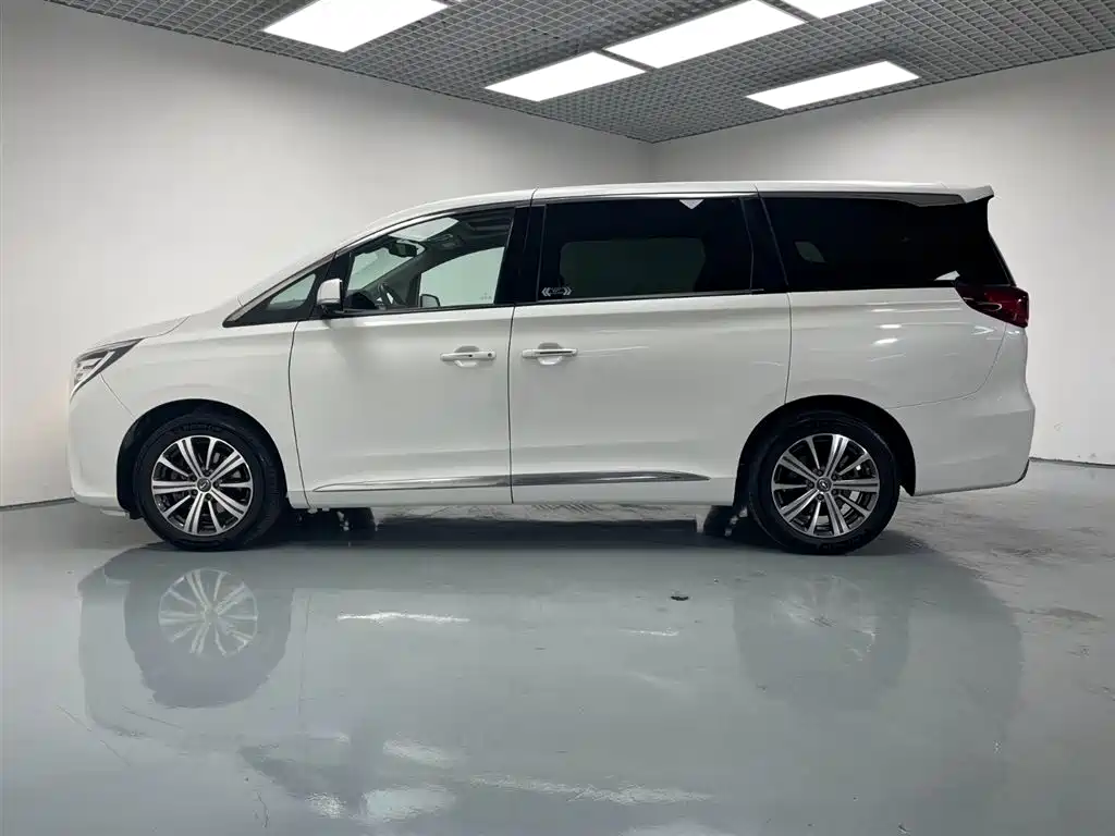 GAC Trumpchi Trumpchi M8 2019 320T Ultimate Edition фото 4