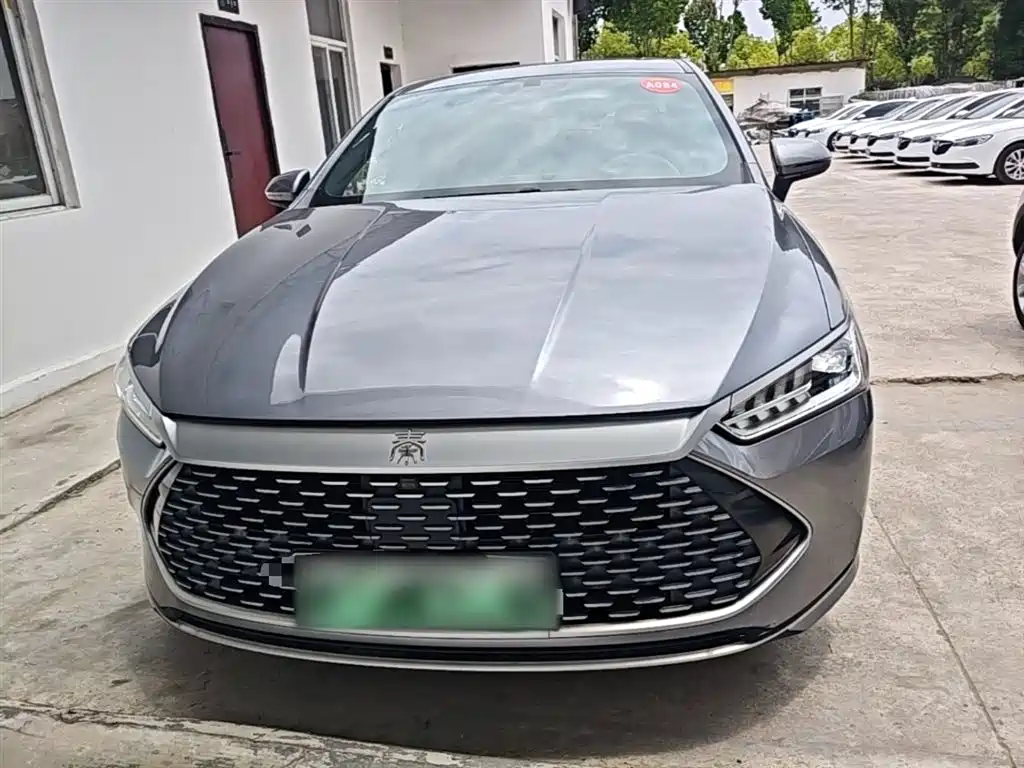 BYD Qin PLUS 2021 DM-i 55KM Flagship фото 3