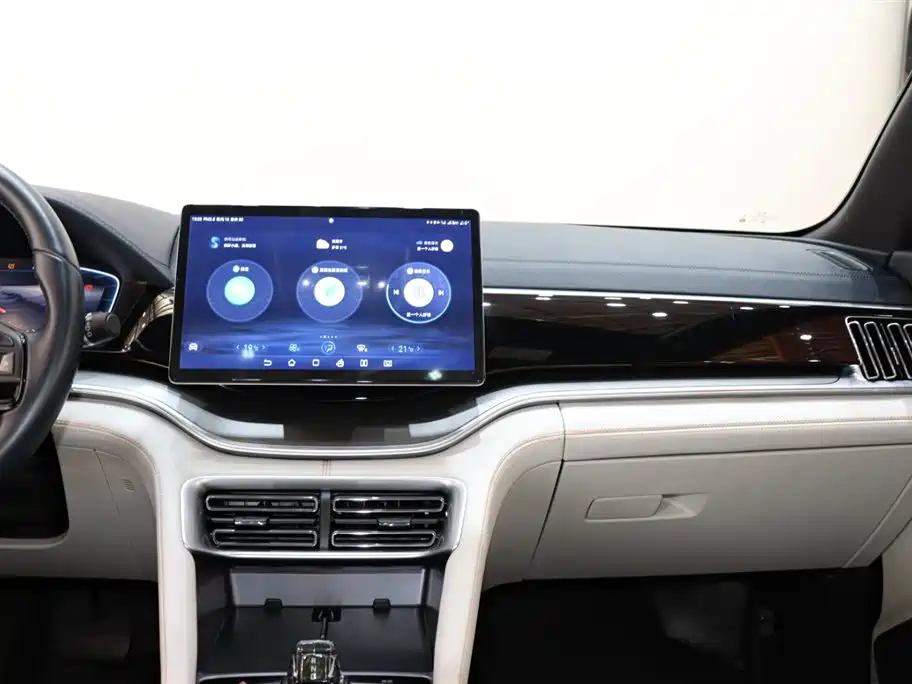 BYD SONGJIANG NEW ENERGY