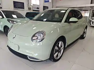 Ora Good Cat