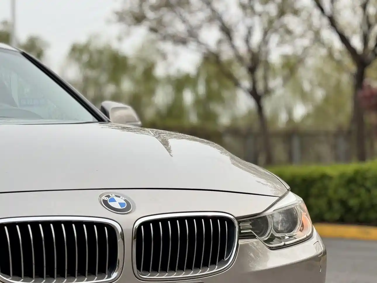 BMW 3 Series 2013 320Li Luxury Design Package фото 9