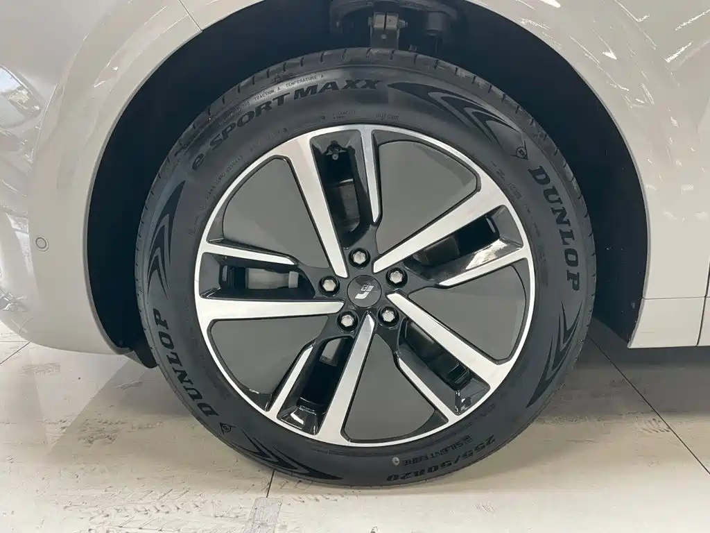 Li Auto L6 2024 2024 Pro