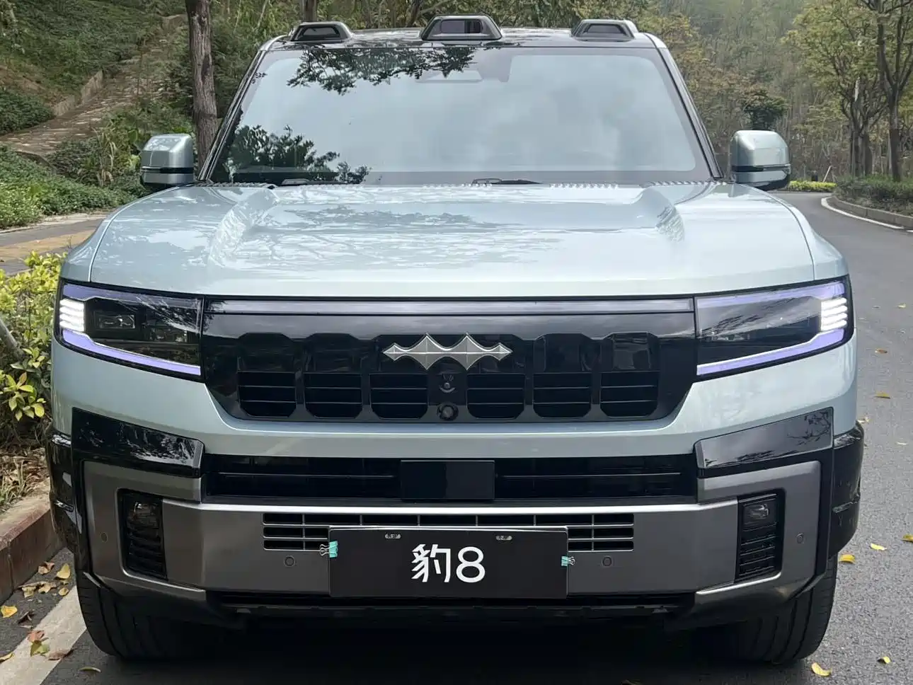 FANG CHENG BAO LEOPARD 8