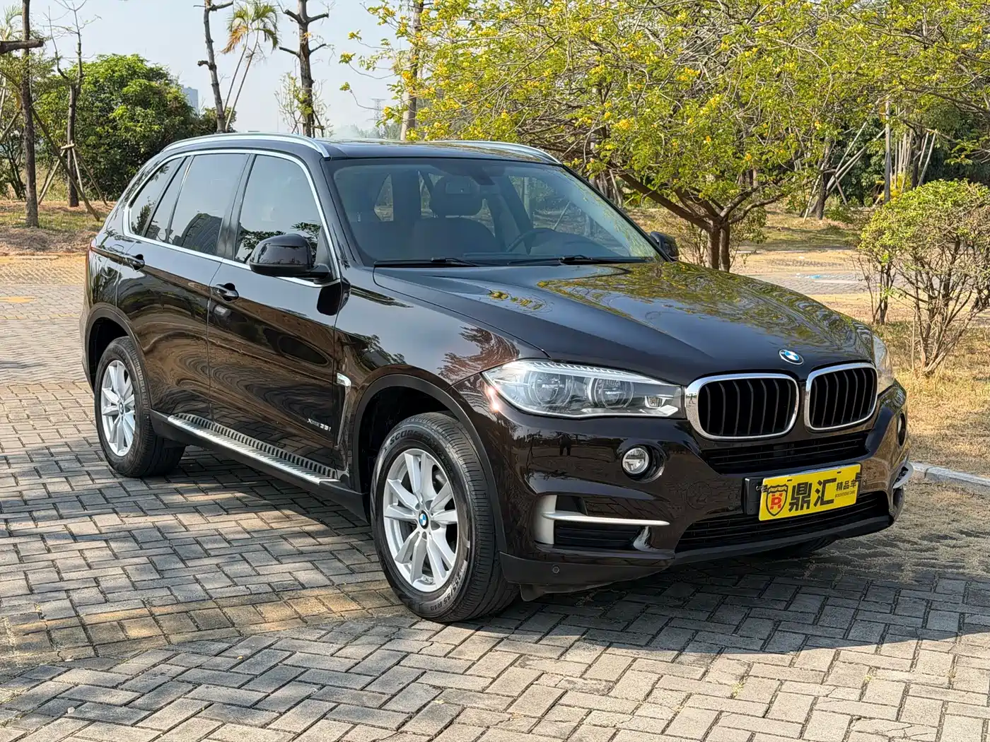 BMW X5 (Import) 2018 xDrive35i Elegant Model фото 8