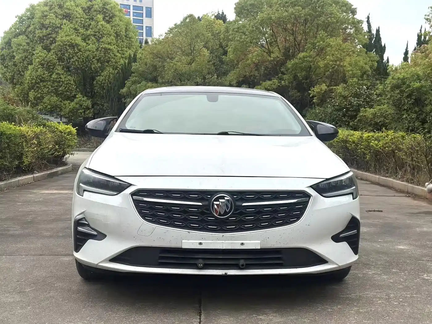 Buick Regal 2020 552T Elite фото 3