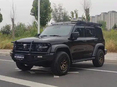 Tank 300