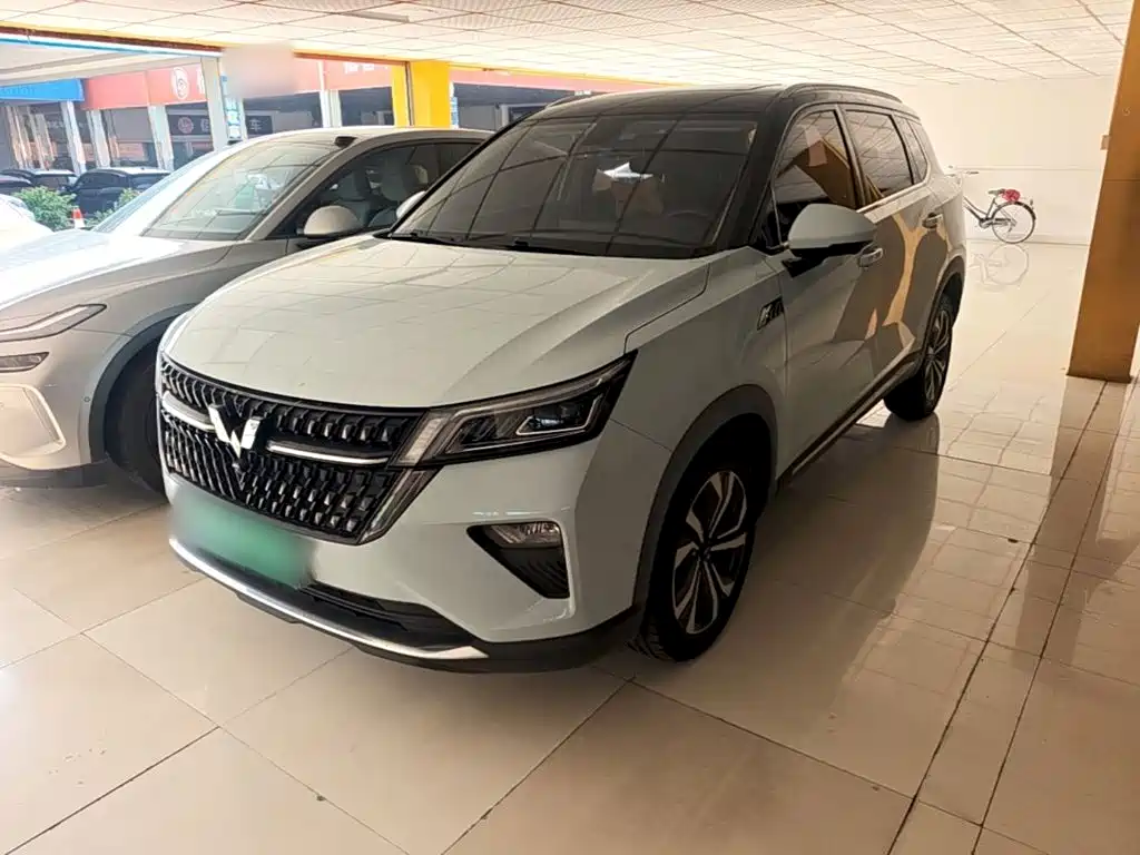 Wuling Motors Wuling Xingchen 2023 2022 2.0L DHT Electric Speed Edition
