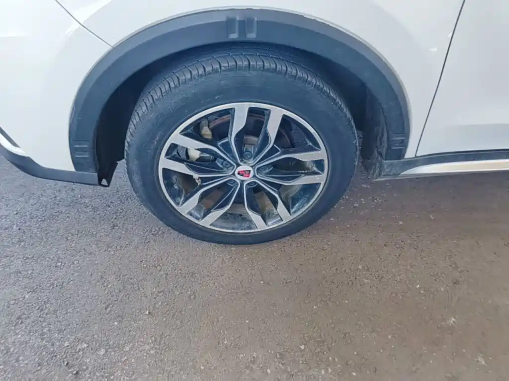Фото 23 - Roewe RX5