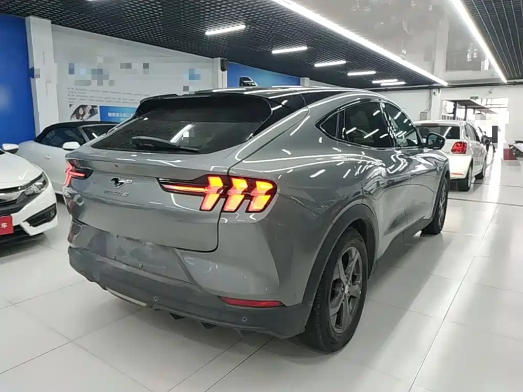 Ford Mustang Mach-E 2022 2021 Leap World RWD (Standard Range)