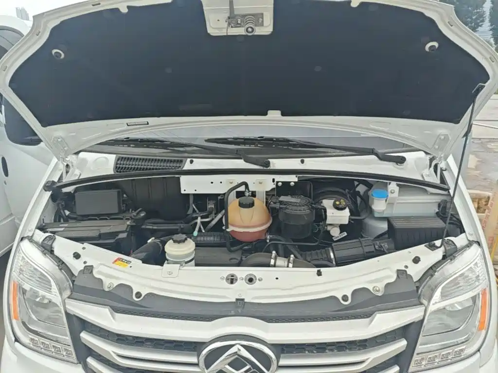 Photo 20 - Maxus Xintu V80