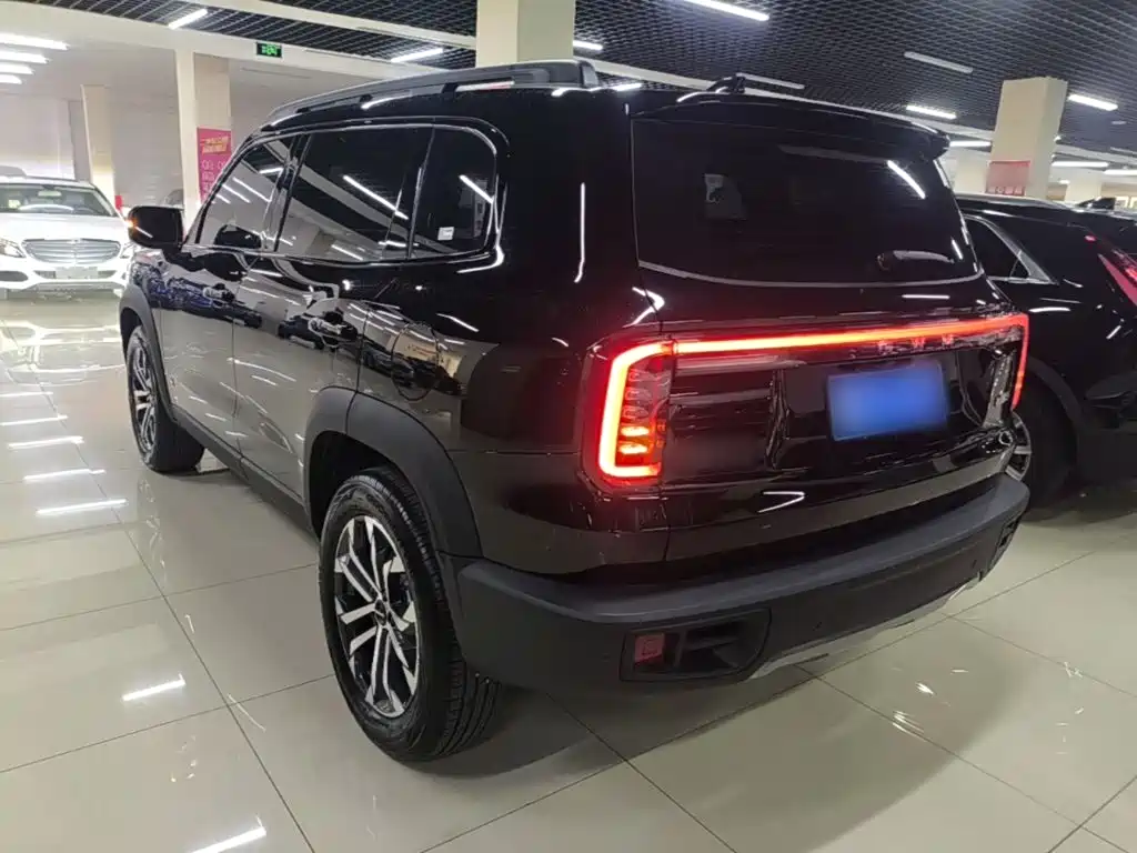 Фото 5 - Haval Dargo