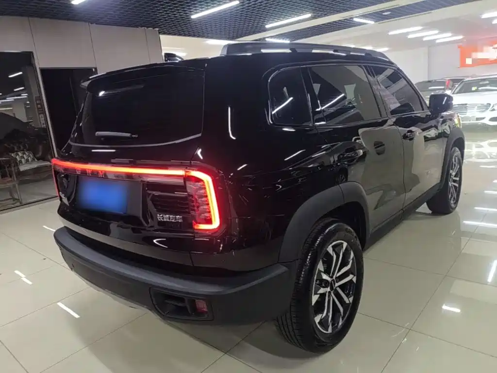 Фото 7 - Haval Dargo