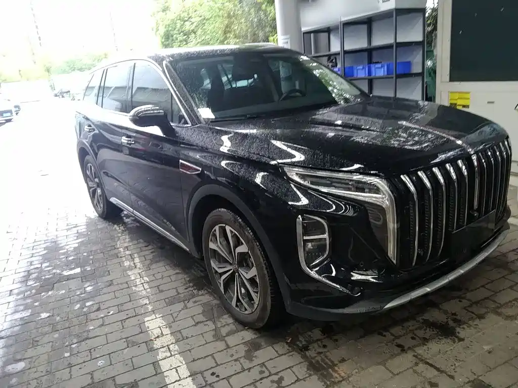 Photo 22 - Hongqi HS7