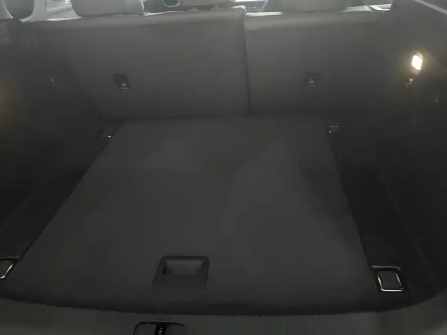 2025 Hongqi Tian Gong 08