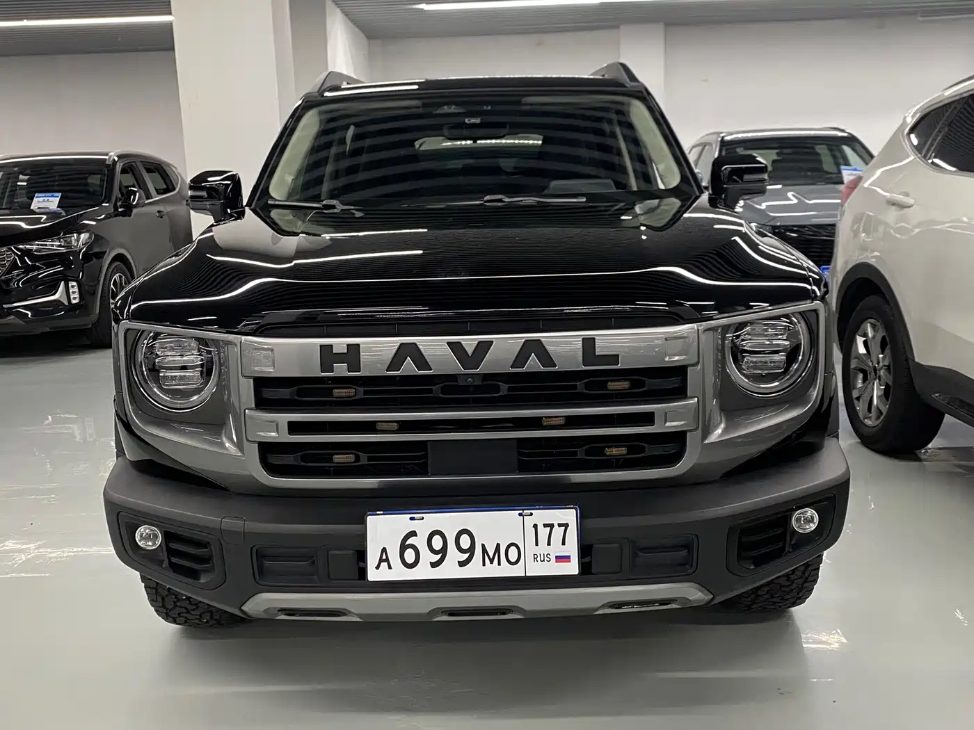 Haval Dargo 2024 2024 1.5T DCT Border Collie Edition