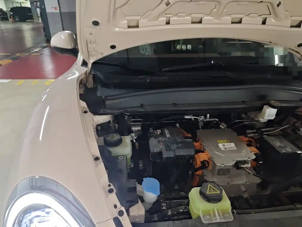 Ora Good Cat 2025 2024 401km Honor 135kW