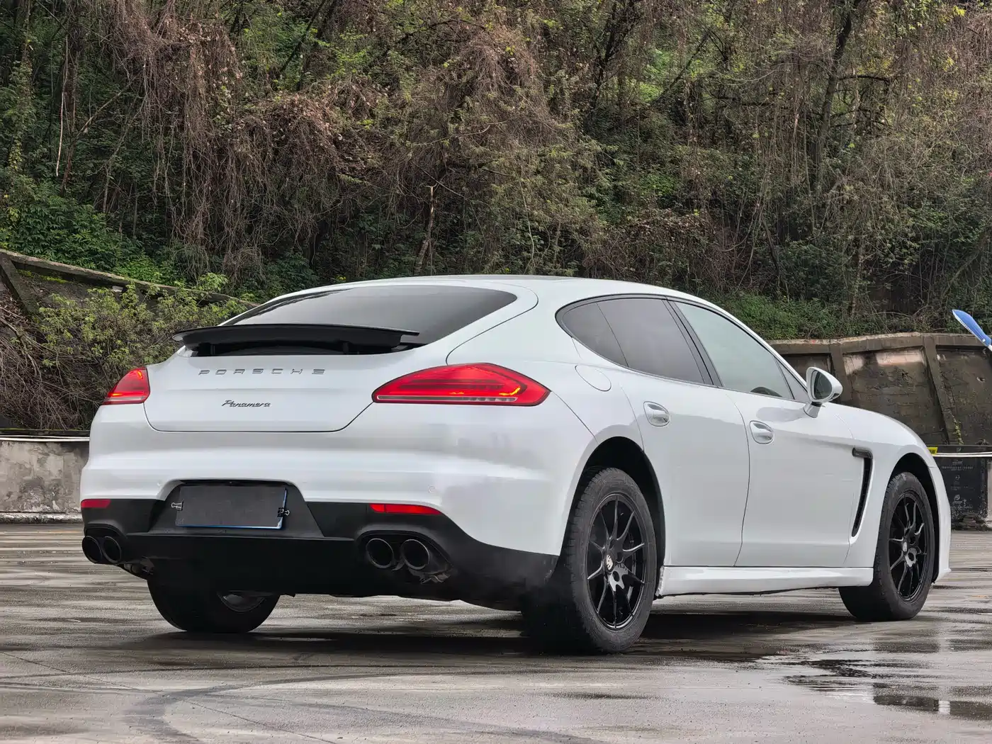 Porsche Panamera 2014 Panamera 3.0T фото 18