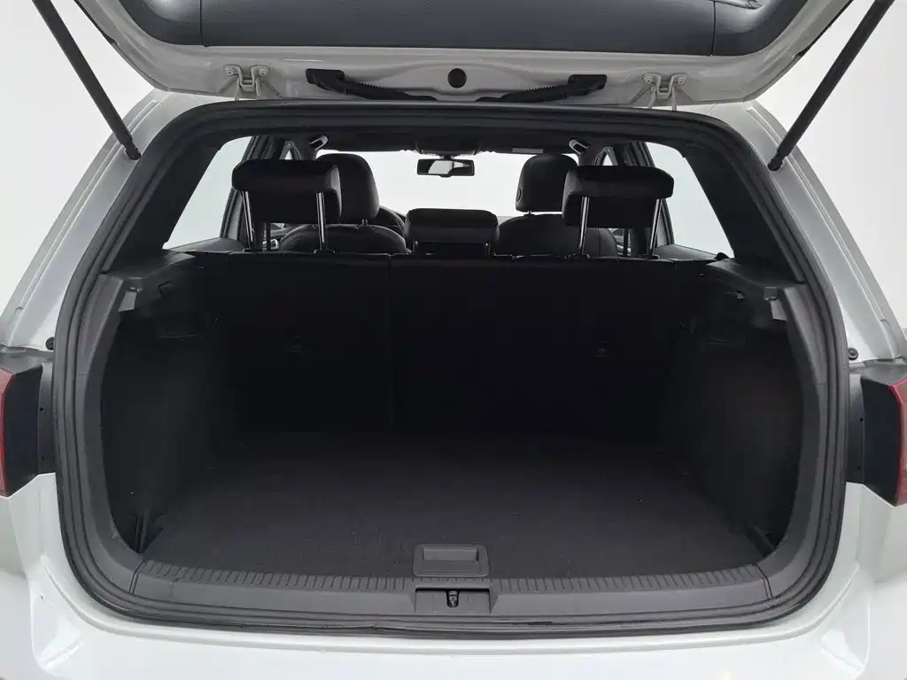 Volkswagen Golf GTI 2016 2016 2.0TSI GTI