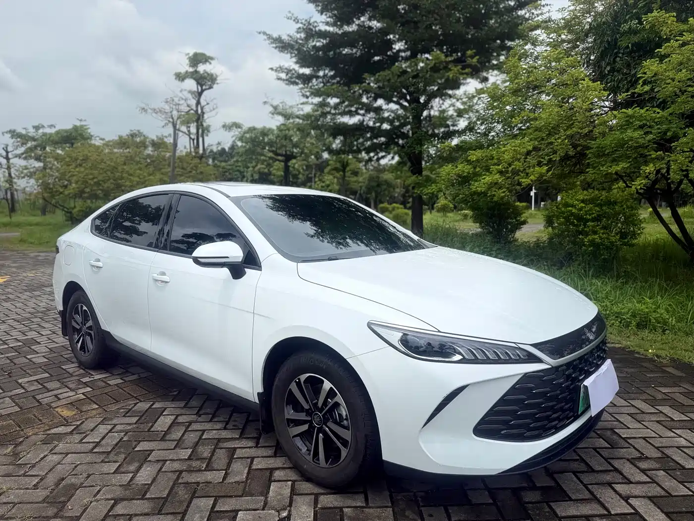 2026 BYD Qin PLUS