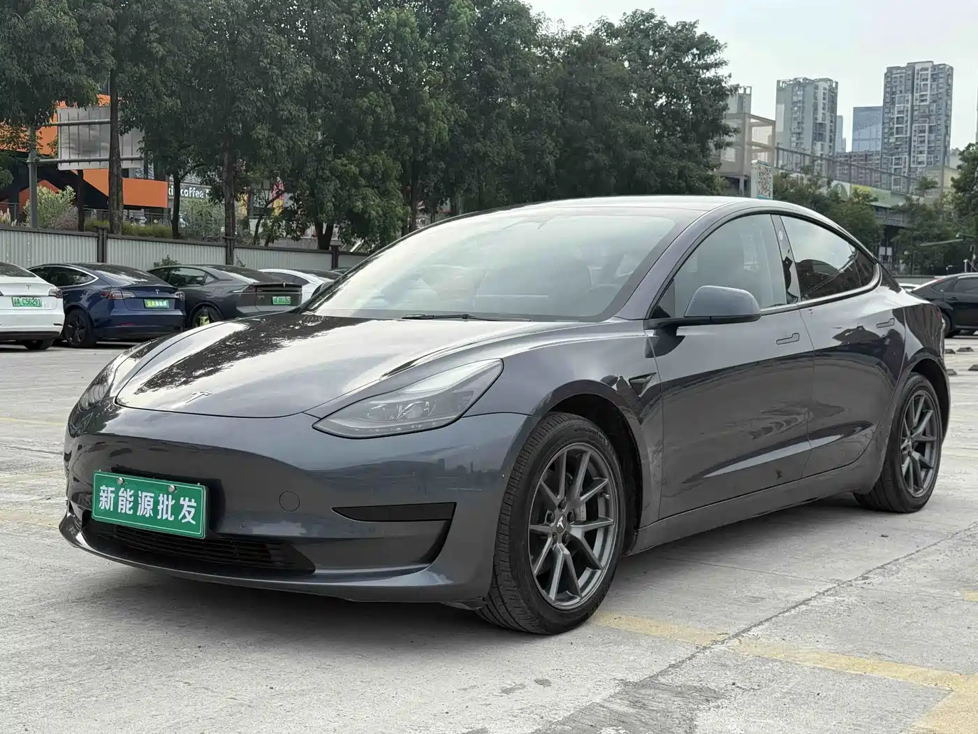 Tesla Model 3 2021