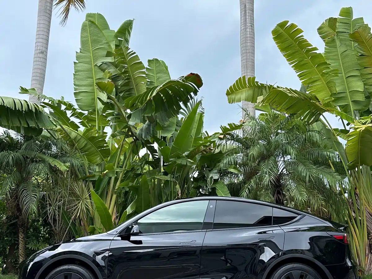 Фото 7 - Tesla Model Y