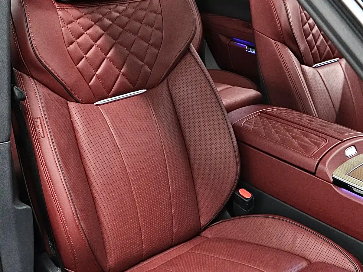 Hongqi E-HS9 2022 660km Qi Chang Edition (6-seater) фото 16