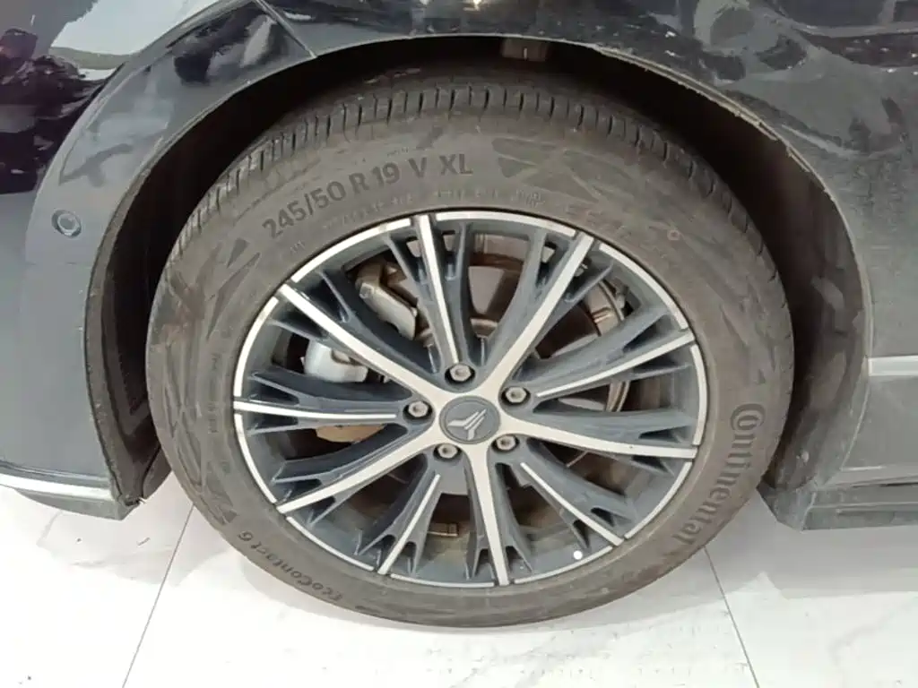 Voyah Passion 2024 2024 PHEV AWD Ultra-long Range Executive Edition