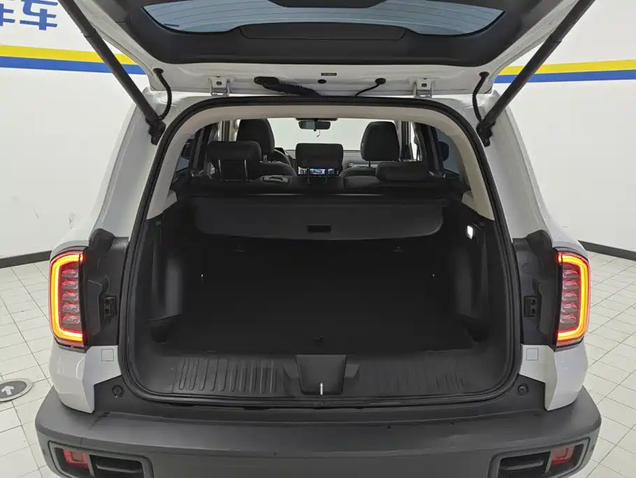 Haval Dargo 2021 2021 1.5T DCT 2WD Border Collie - Wangcai Edition