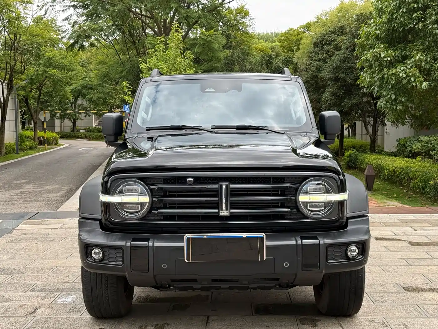 Tank 300 2021 2021 Off-road Version 2.0T Conqueror