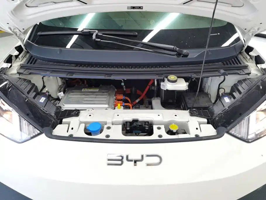 BYD Seagull 2026 2025 Smart Drive Edition 305km Vitality Version