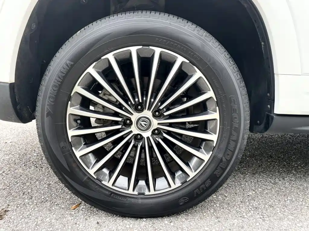 Changan CS95 2021 2019 2.0T 2WD Luxury