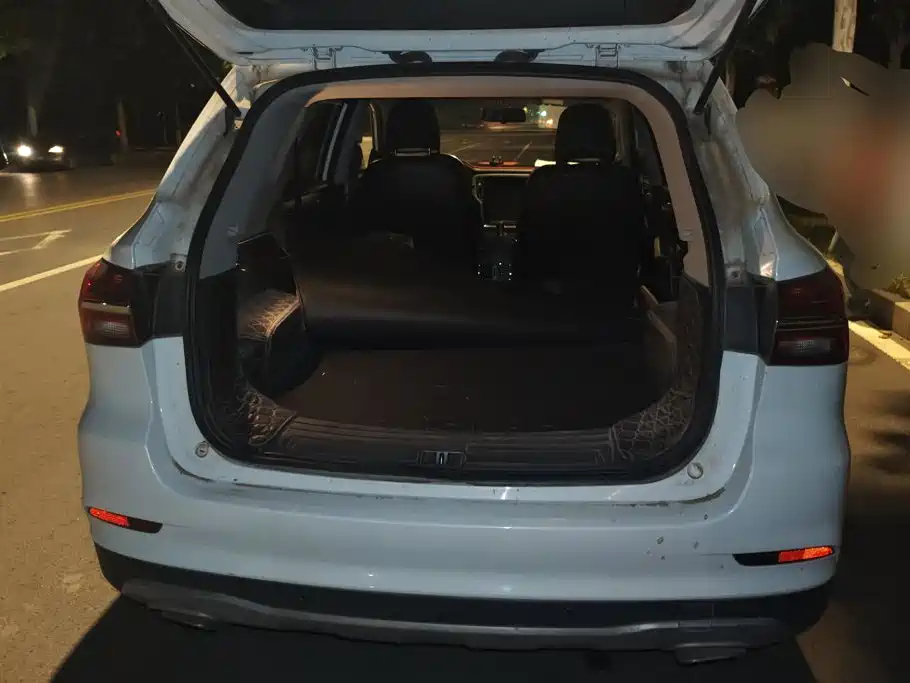 Фото 4 - Roewe RX5