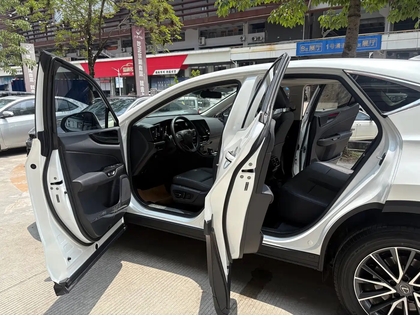 Lexus NX 2023 2022 260 FWD Joy Creation Edition